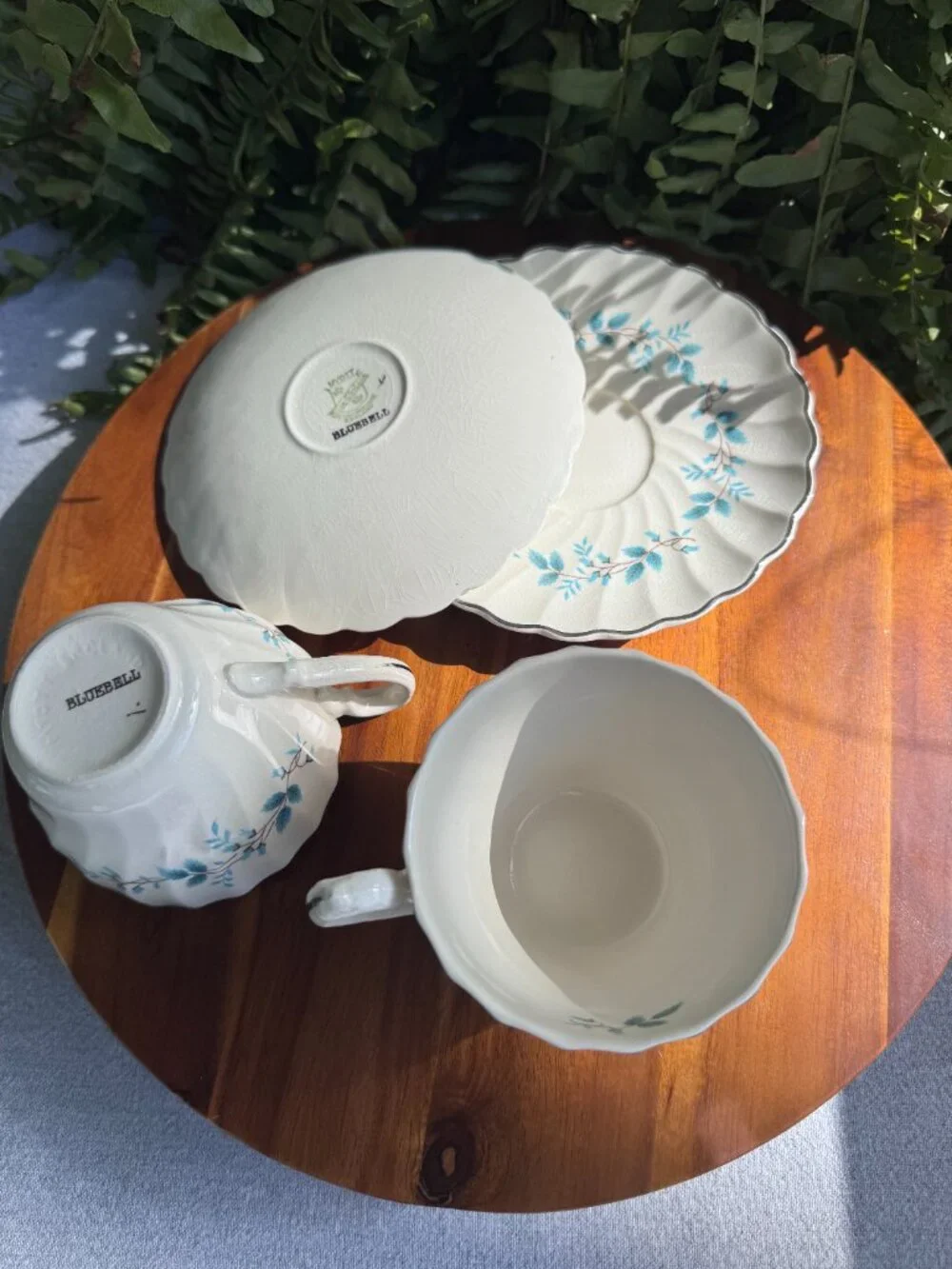 Vintage Myott Bluebell Teacup and Saucer Set by Olde Chelsea Staffordshire